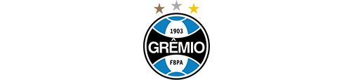 Gremio_Parceiro_Discovery_1
